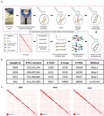 Profiling of 3D Genome Organization in Nasopharyngeal Cancer Needle Biopsy Patient Samples by a Modified Hi-C Approach